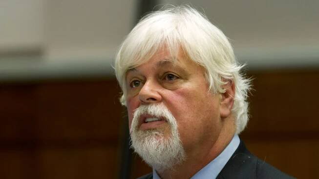 Anti-whaling activist Paul Watson freed from custody and will not face extradition to Japan
