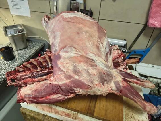 Téměř 200 kg problematického masa a vnitřností v prodejně v Brně