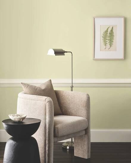 Wall painted Sherwin Williams Celery SW6421