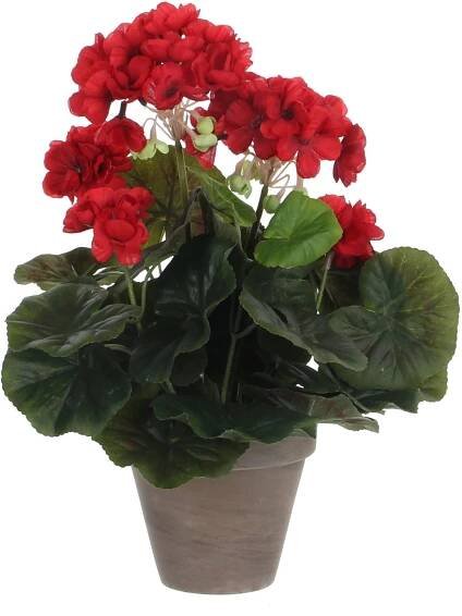 Mica Decorations Umělá pelargonie v květináči Stan, červená, pr. 20 x 34 cm