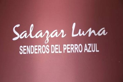 Exposiciones – Salazar Luna
