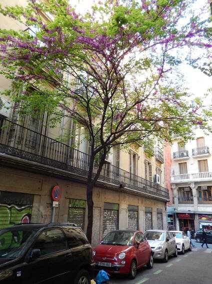madrid25