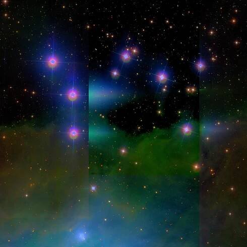 NGC 1981