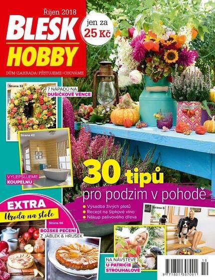 Časopis Blesk Hobby - 10/2018