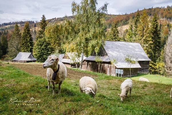 Nová Bystrica - Vychylovka - Múzeum Kysuckej dediny - Radovan Bries fotograf - FotoRado