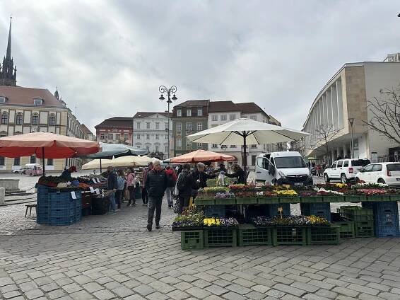 Barevný a rozkvetlý Zelný trh v Brně. Největší venkovní tržiště opět ožívá