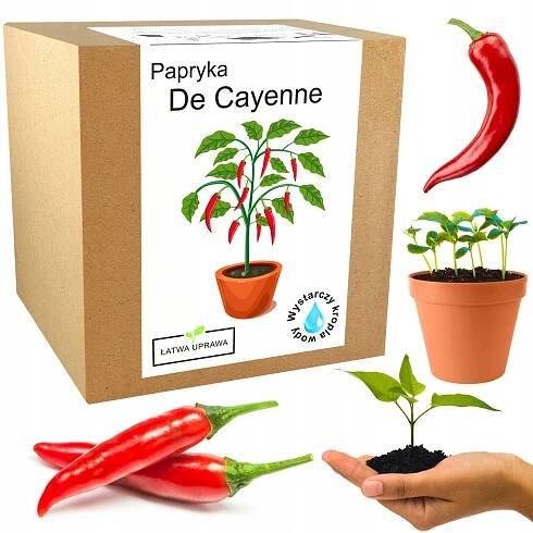 Sada pro pěstování chilli papriček De Cayenne - XXL