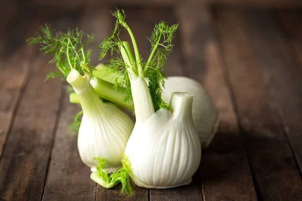Fenchel – Anwendung und Wirkung