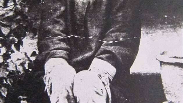 Dina Sanichar. Z vlčí jeskyně v Indii jej odnesli v roce 1867, bylo mu zhruba šest let. Běhal po čtyřech, jedl ze země.
