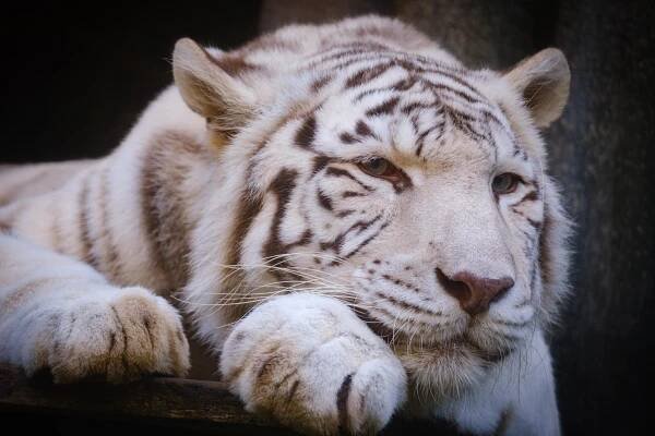ZOO Liberec (10/2022) - Marek Duda | my hobby, my life