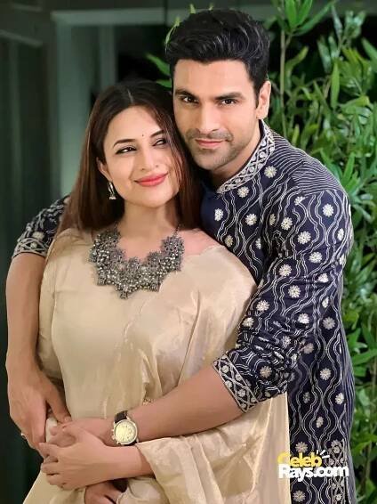 Vivek Dahiya Television
