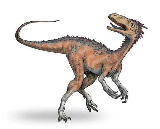 Huaxiagnathus