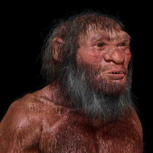 Why a mysterious group of ancient humans doesn’t have a species name