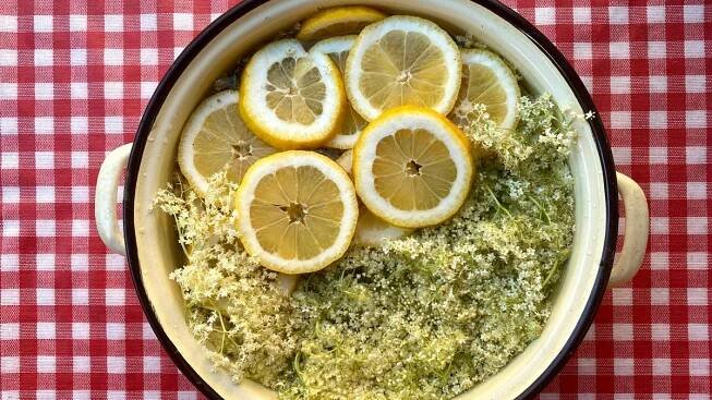 Recept na lahodnou bezovou šťávu, osvěžující nápoj plný aromatických tónů