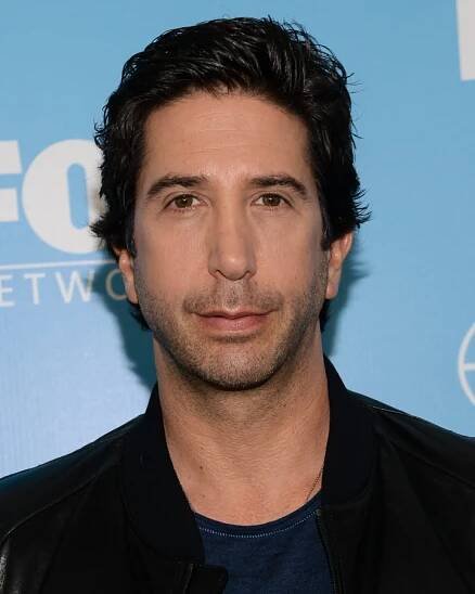 Actor David Schwimmer