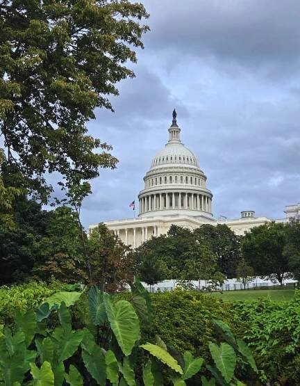 Capitol Building on a cloudy day surrounded by trees