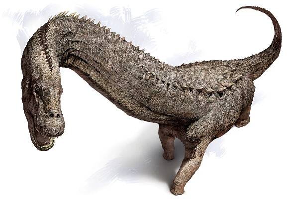 An illustration of a dinosaur with a long neck and tail