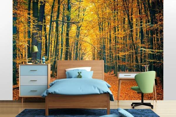 Fototapeta Barevný podzimní park - vliesová tapeta na míru - moorals.cz