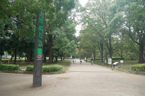 Kinuta Park