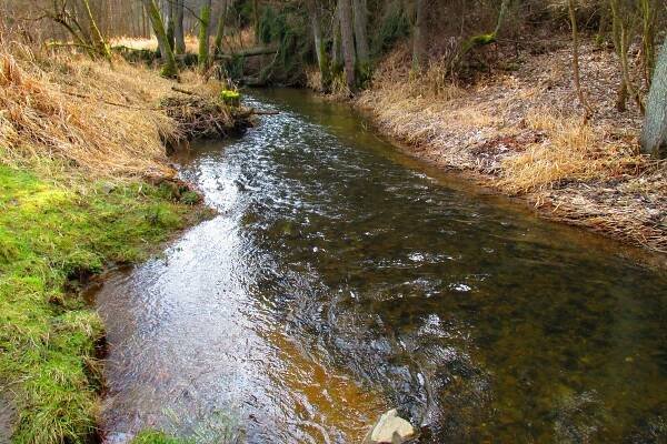 Studánka lásky u Konstantinových Lázní léčí srdce mnoha způsoby | Regiony