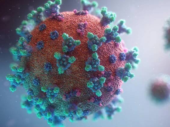 Photo by Fusion Medical Animation