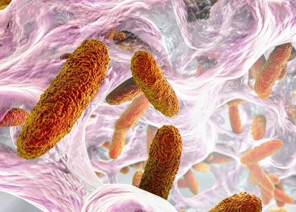 Previously-overlooked viruses may secretly shape bacterial populations
