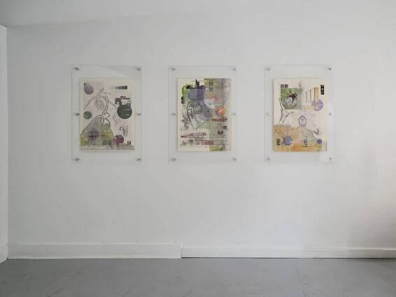 Megan Baker- Orchid Room — Martha's