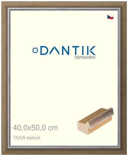 DANTIK rámeček na obraz 40x50