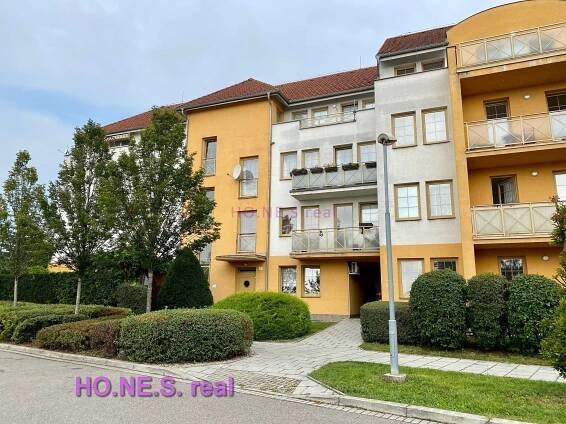 Pronájem - HO.NE.S real 
