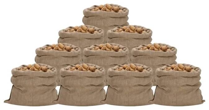 Jutové Pytle 10 Ks 100% Juta 340 G/M² 10 / 100 x 110 cm