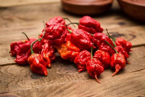 chilli | 100+1 zahraniční zajímavost