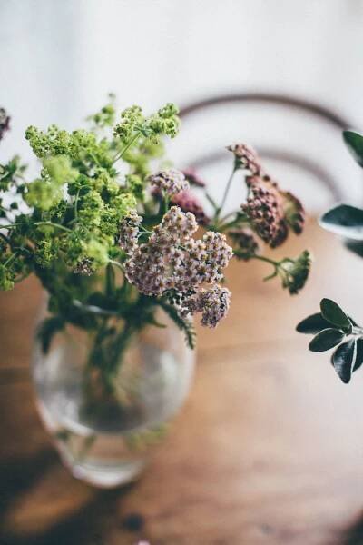 Beautiful UK grown flowers