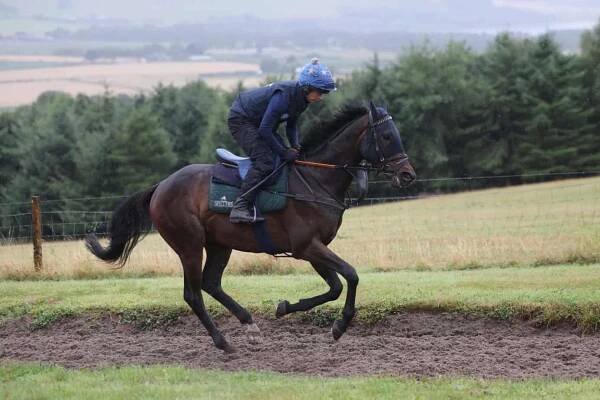 Kelso yesterday, Ayr tomorrow – great to be back in action! – Kinneston | Nick Alexander