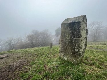 View larger photo: Standing stone situated amongst the grass with trees in the background on a foggy Balgay Hill in Dundee Scotland.