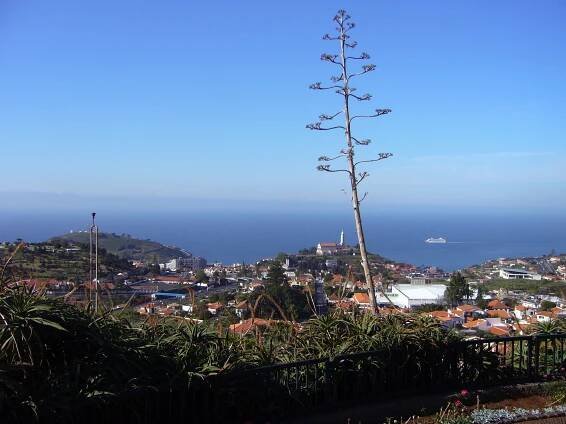 Soubor:Pohled z Barcelos.JPG