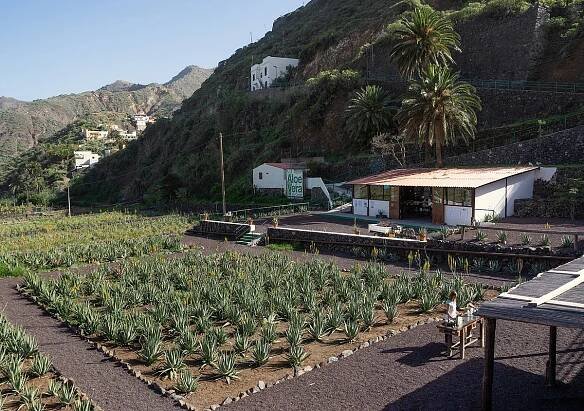 La Gomera: All You Must Know Before You Go (2025) - Tripadvisor