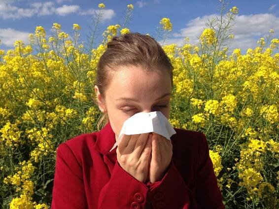 Antihistaminika – nepostradatelný lék pro každého alergika - SuprŽena.cz