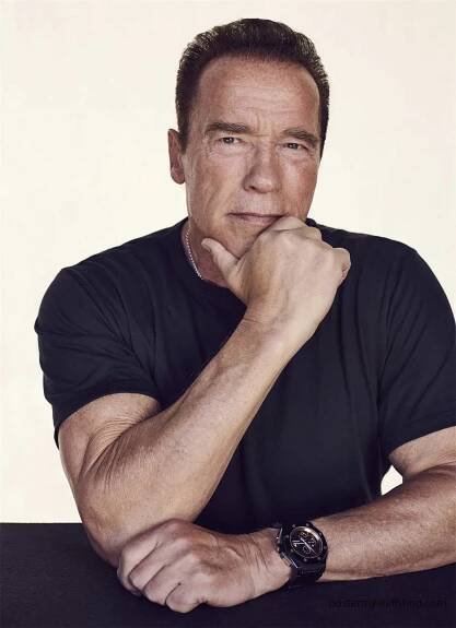 Poster of Arnold Schwarzenegger: The Ultimate Action Hero - Poster My Wall Shop