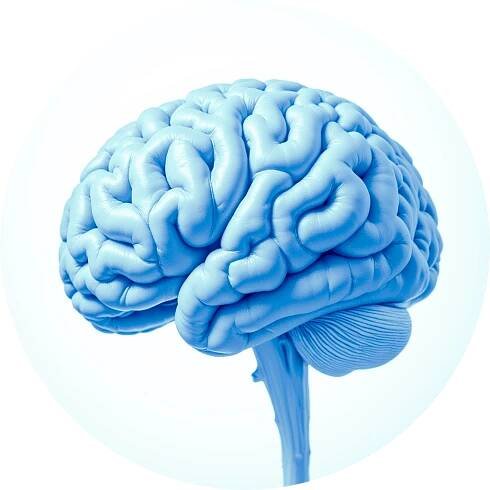MUDr Hana Bouskova Neurologie Brno Blue Brain
