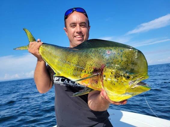 mahi mahi