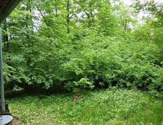 Prodej Dům, Mokrá-Horákov - Horákov, okres Brno-venkov