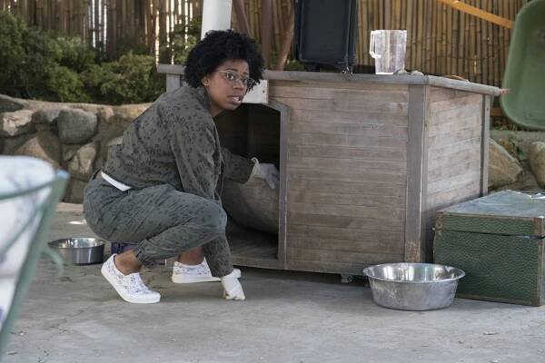 Námořní vyšetřovací služba - Kamarád Kasie - Z filmu - Diona Reasonover