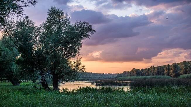 Duna–Dráva Nemzeti Park