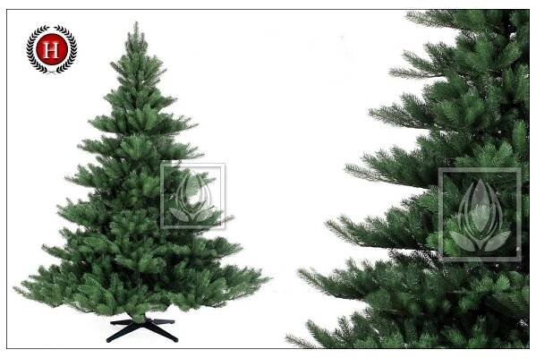 nad 300cm - Florum.cz