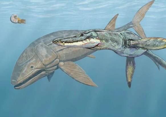 Liopleurodon – Wikipedie