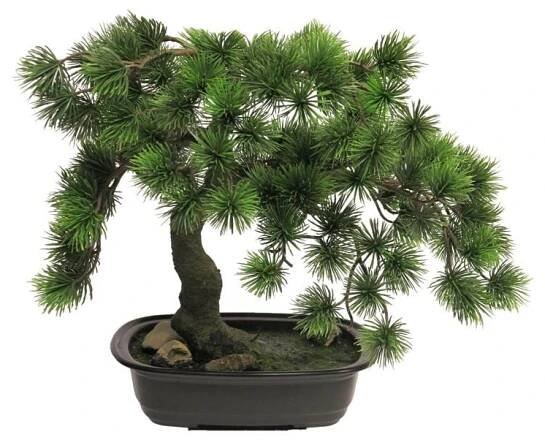 Umělá borovice v květináči, Pinus, bonsaj, 43 cm skladem