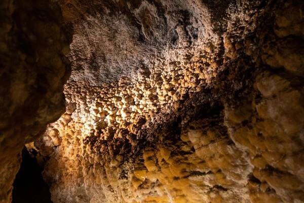 Fotografie - Zbrašovské aragonitové jeskyně - 21.05.2023