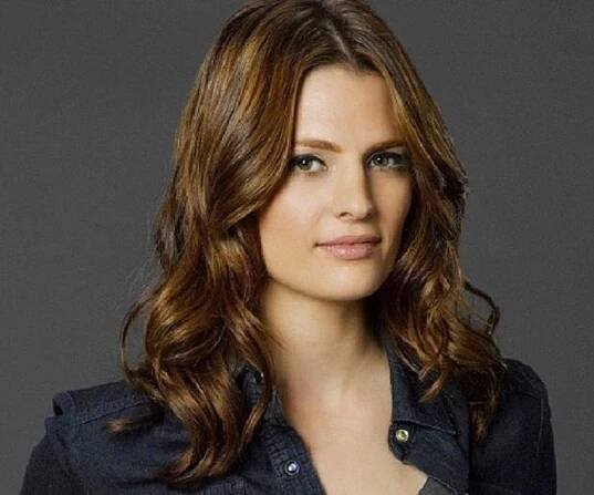 Stana Katic Biography - Facts, Childhood, Family Life & Achievements