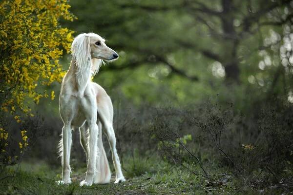 Masterclass - Kyno Photography