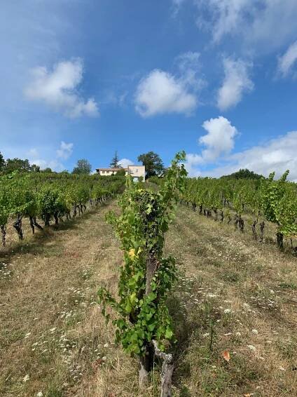 Bergerac, France – HarperSmiths Photo